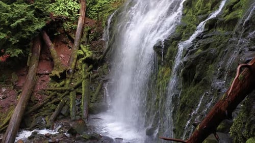 Proxy Falls in Oregon, USA