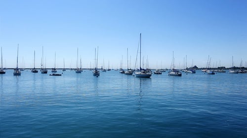 De nombreux voiliers et mâts dans une marina 1