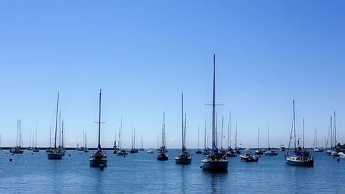 Viele Segelboote und Masten in einer Marina 2