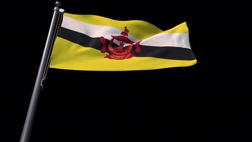 Realistic Waving Flag of Brunei on Black Background