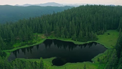 Lake Mountains Tree Nature Pine Beautiful Landscape Summer