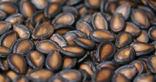 Black watermelon seed