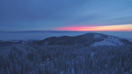 Aerial drone view of sunset snow covered forest trees and sunrise.
