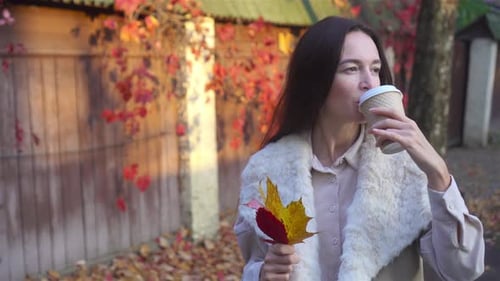 Fall Concept Beautiful Woman in Autumn Park Under Fall Foliage