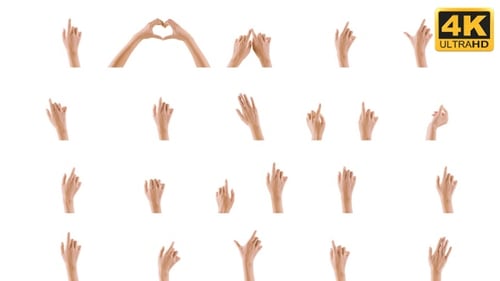20 Hand Gestures 4K (Alpha Channel)