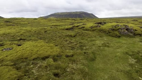 Aerial View of Mossy Lava Field in Iceland