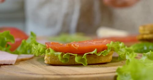 Making Delicious Sandwich with Fresh Ingredients at Home