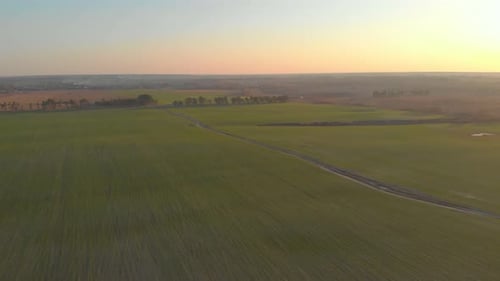 Green Field At Sunset