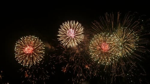 Firework