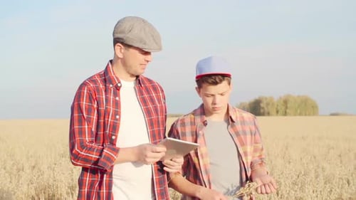 Farmer and Son Inspecting Wheat Field Using Tablet