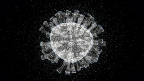 3D Plexus Coronavirus