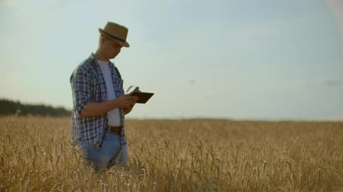 A Young Farmer with a Tablet in a Hat in a Field of Rye Touches the Grain and Looks at the Sprouts
