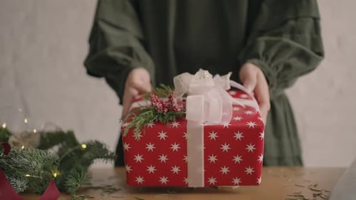 A Christmas Present Moves a Woman's Hands Into the Camera