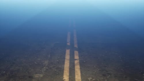 Foggy Endless Road Flytrough Camera Loop Animation