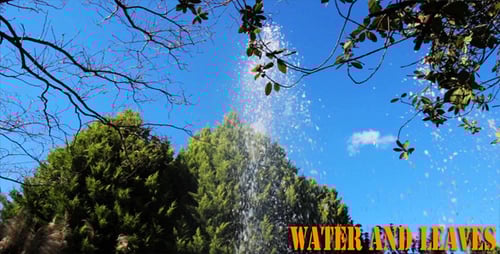 Water Fountain Spraying Near Green Trees Under Blue Sky