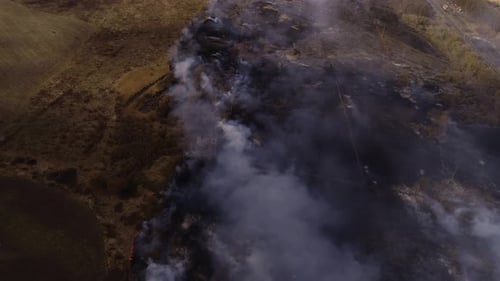 Fire, Dry Grass Lanes in Fire, Firefighters at Work, Disaster, Ecological Catastrophe