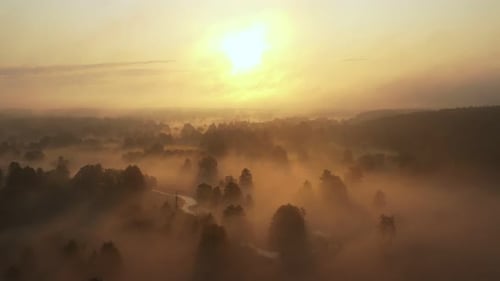 Atmospheric Aerial Scenery Mysterious Foggy Valley with Forest and River Covered with Thick Mist on