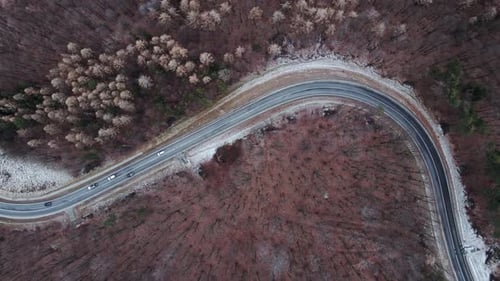 Landscape with Winding Road Through Forest Aerial View
