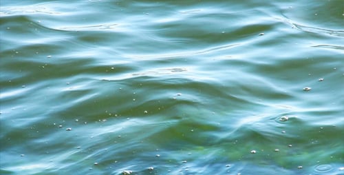 Olas del mar