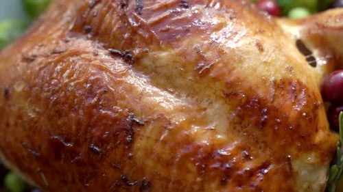 Golden Roasted Thanksgiving Turkey Close Up with Decorations