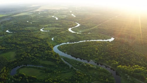 Aerial View Green Forest Woods And River Landscape In Sunny Summer Evening. Top View Of Beautiful