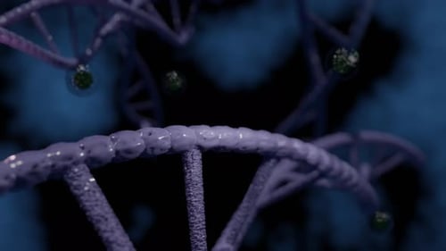 Animated 3D DNA Double Helix with Floating Cells