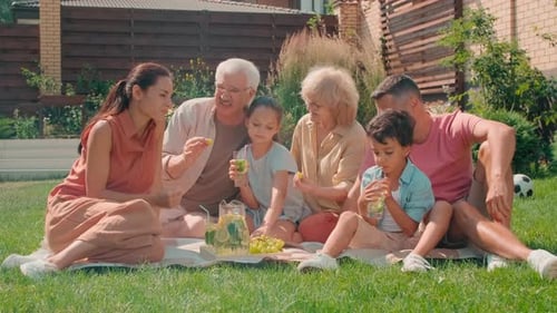 Family Picnic on the Lawn on a Summer Day