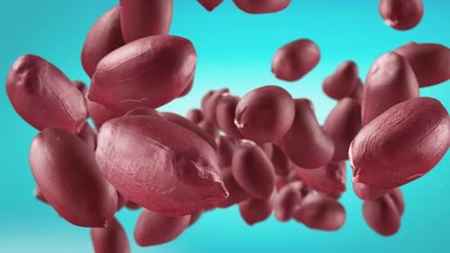 Shelled Peanuts Floating in Aqua Background Animation