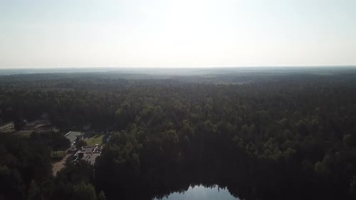 Aerial View of a Dense Forest and Lake