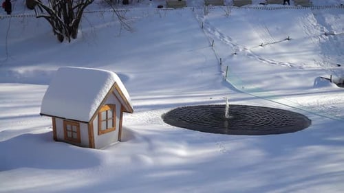 Fuente en un lago congelado en un parque de invierno