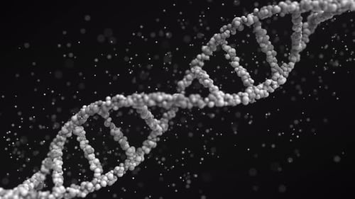 Moving Grey DNA Molecule with Particles