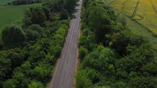 Flying Over The Car Road Among The Trees