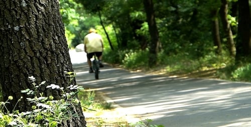 Cyclist Rides Through Green Urban Park on Sunny Day
