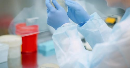 Scientist Analyzing Petri Dish at Laboratory