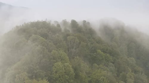 Timelapse of Fog Mountains Forest Aerial