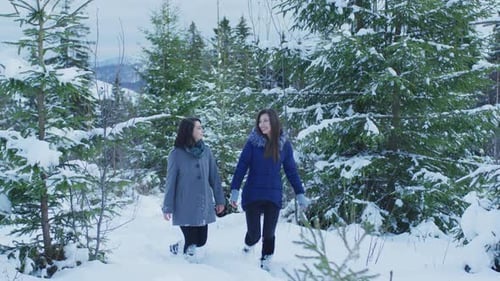 Girls talking and walking in the forest