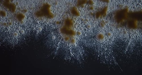 View From Under the Glass on the Flour Pouring Down,