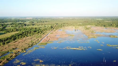 Swamp Near The Village Of Sverdlovo 05