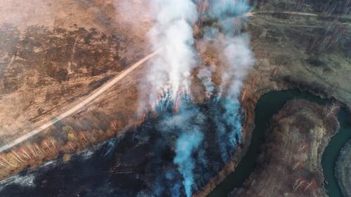 Forest and Field Fire. Dry Grass Burns, Natural Disaster. Aerial View. A Large Burned Field, Burning