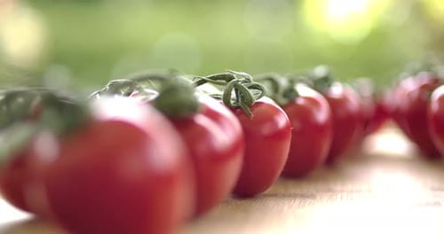 Un montón de tomates rojos