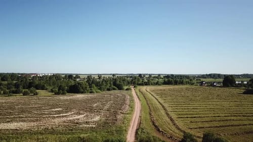 Forest Field River And Road 41