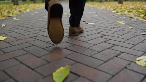Close Up Feet Walking Along Path in Autumn Park in Day Time