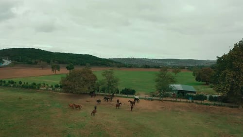 aerial view of horse farm and sky