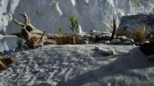 White Sand Beach Near Rocky Cliffs at Ocean