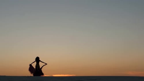 Graceful Movements of a Dancer, Dancing Belly Dance While on the Beach, Silhouettes