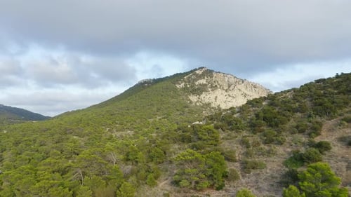 Forest Mountain and Blue Sky in Background