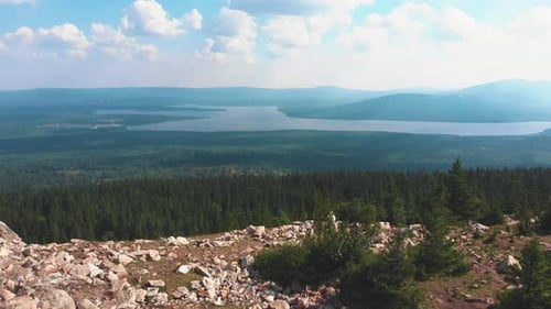 Landscape of Nature - Rocky Mountains and a Green Forest - River in the Distance