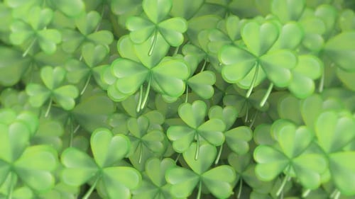 Decorative Animated Green Shamrocks Loop Background