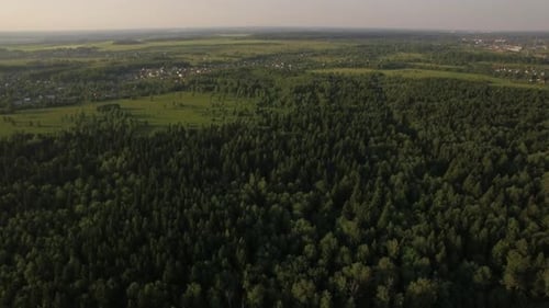 Aerial Flight Above the Huge Green Forest, Russia