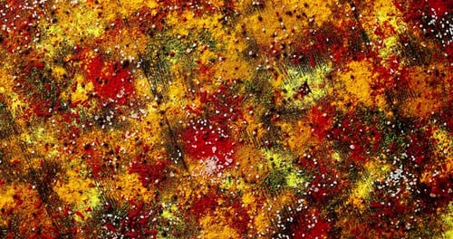 Vibrant Spices and Herbs on Wood Surface